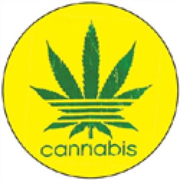 Cannabis