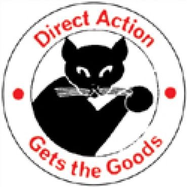Direct action 3