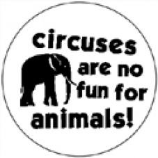 Circuses